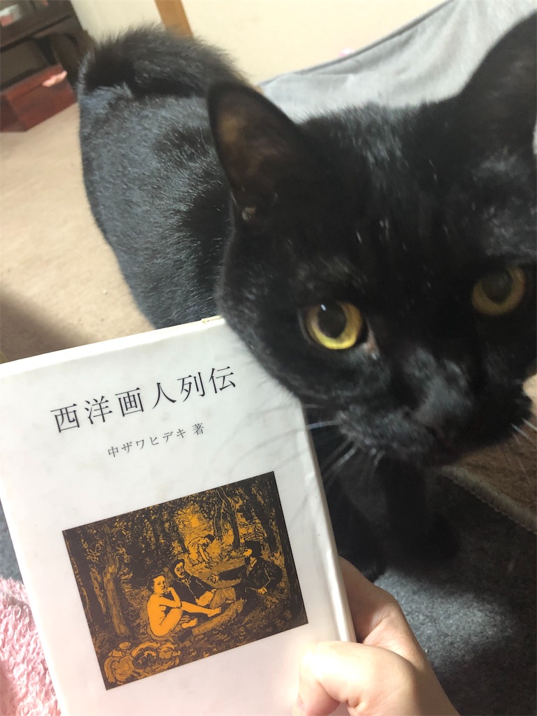 f:id:minnagi:20191112225018j:image