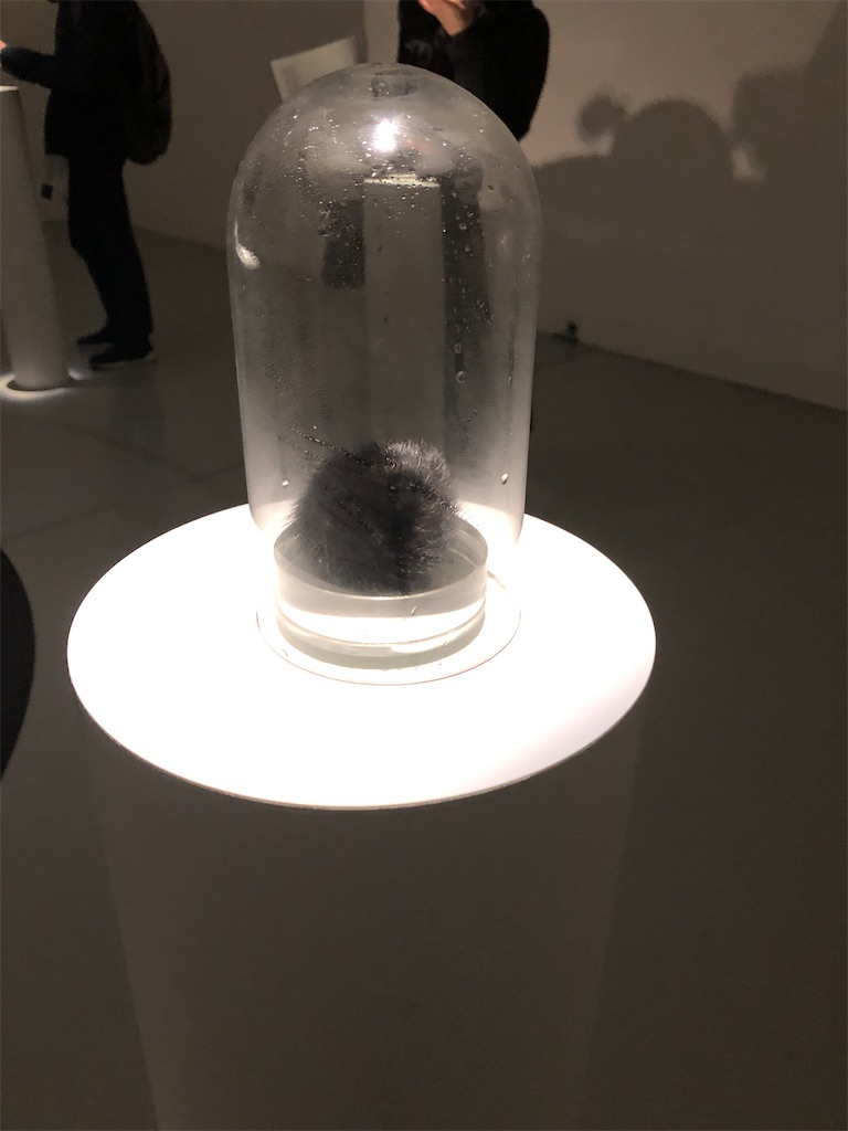 f:id:minnagi:20200127101305j:image f:id:minnagi:20200127101305j:image