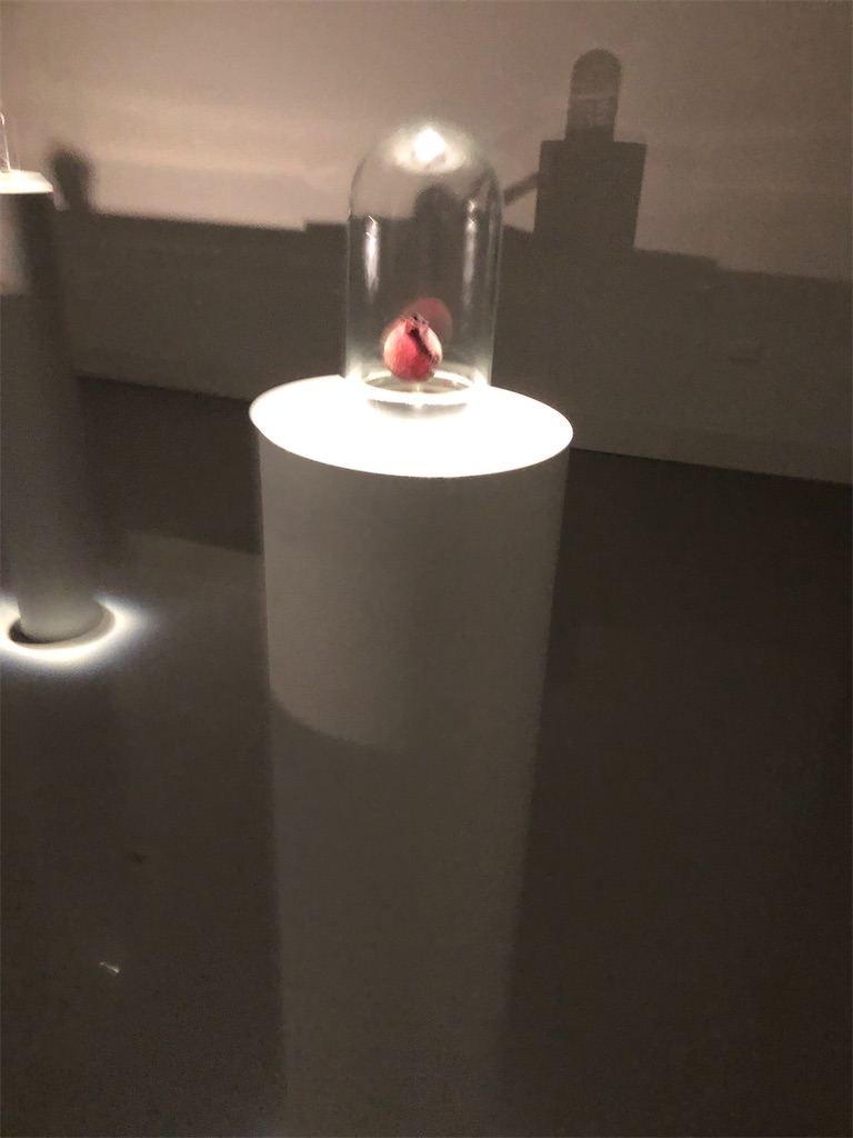 f:id:minnagi:20200127101308j:image f:id:minnagi:20200127101308j:image