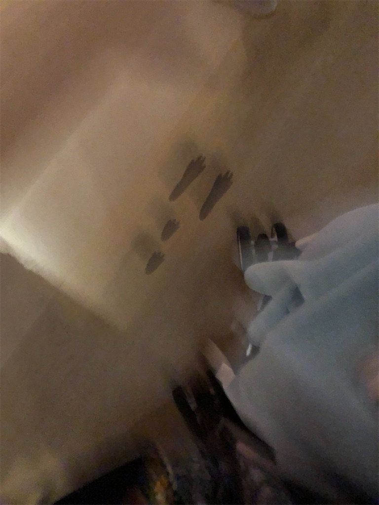 f:id:minnagi:20220823114451j:image f:id:minnagi:20220823114451j:image