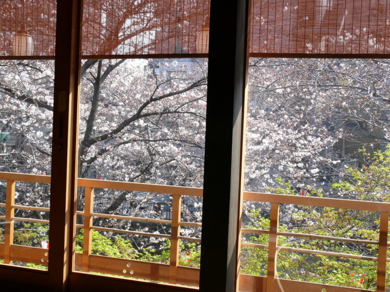 祝 桜満開 見頃は今週 美しい桜と過ごせるお花見レストランを緊急まとめ ぐるなび みんなのごはん 祝 桜満開 見頃は今週 美しい桜と過ごせるお花見レストランを緊急まとめ ぐるなび みんなのごはん