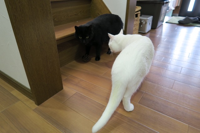 イメージ 2