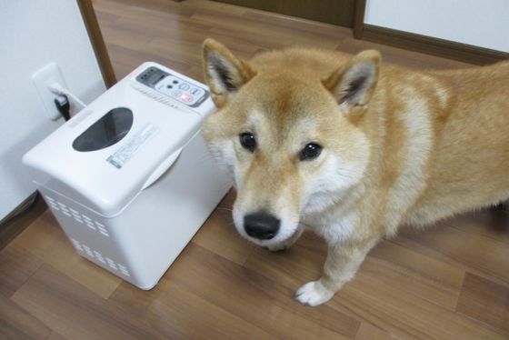 イメージ 2