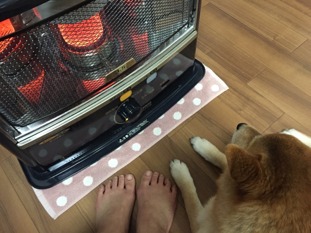 イメージ 8