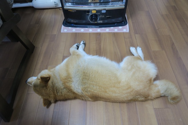 イメージ 9