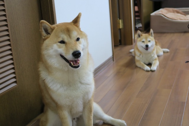 イメージ 1