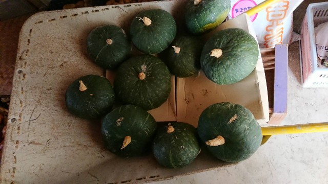 f:id:minnesota-twins:20191017152459j:plain