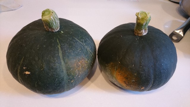 f:id:minnesota-twins:20191017152617j:plain