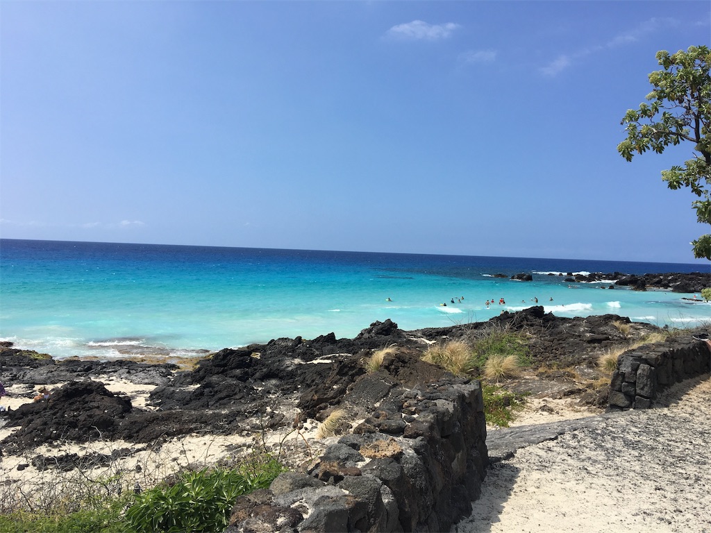 f:id:minoconoyama:20190130145536j:image f:id:minoconoyama:20190130145536j:image