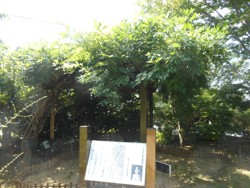 f:id:minocororin:20150804102354j:image:w360