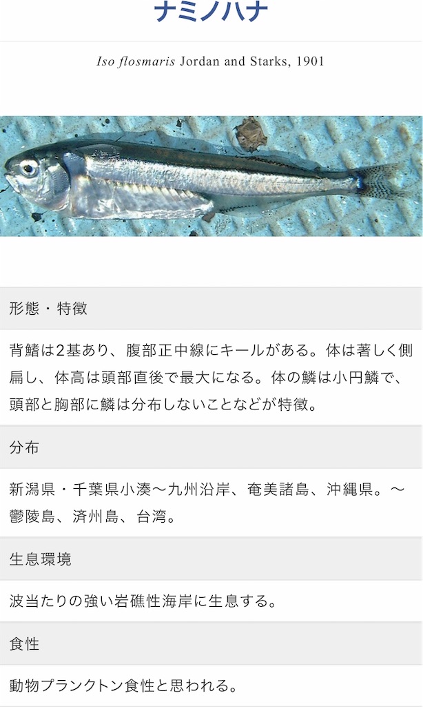 f:id:minoichi:20210208094827j:image