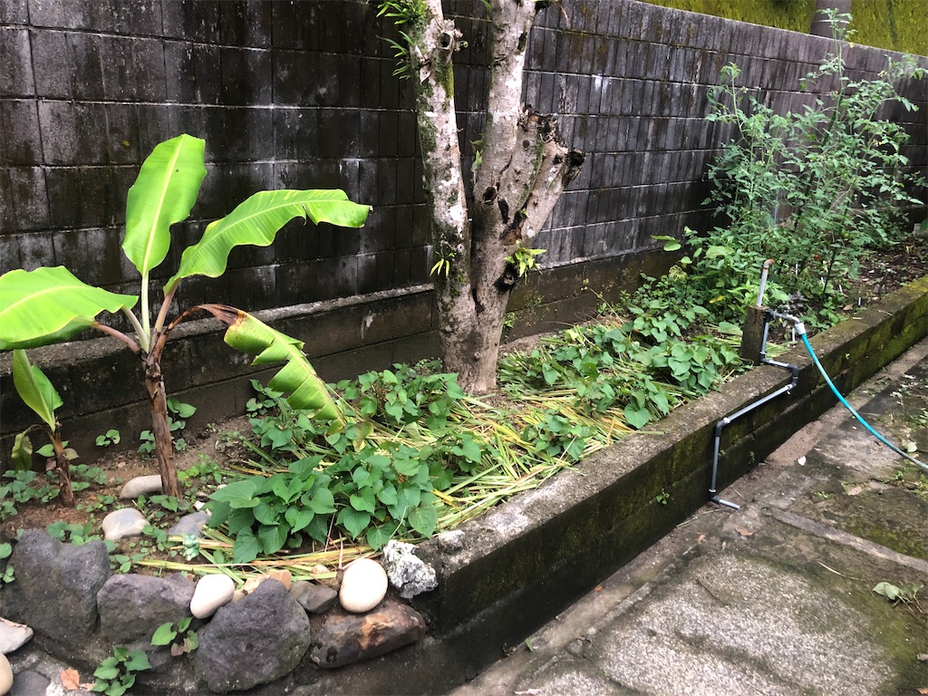 f:id:minoichi:20220620005801j:image