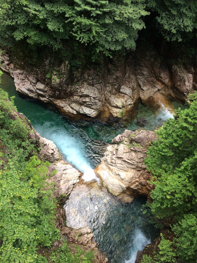 f:id:minokoku:20190717234042j:image