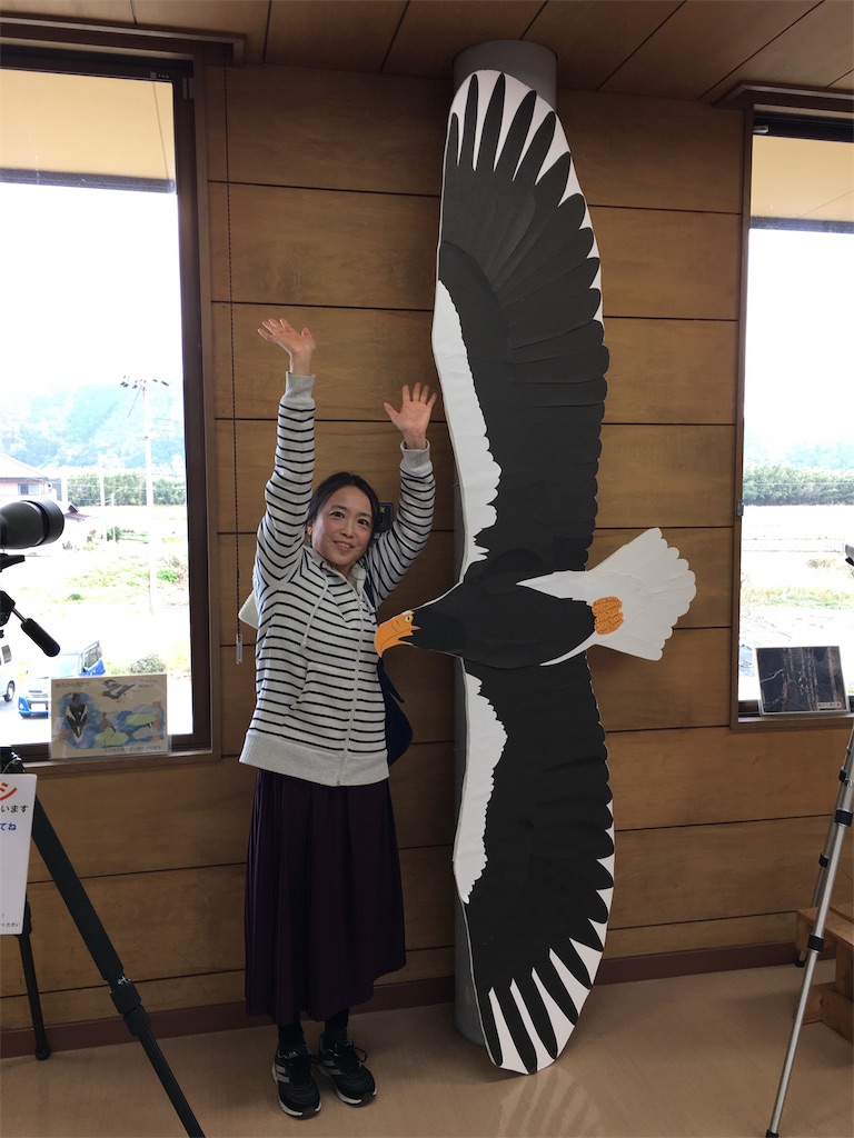 日本で見られる最大の猛禽類 オオワシ 変若水で泳ぐ山姥の日記