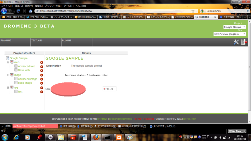 f:id:minokuba:20101231181321p:image:w50