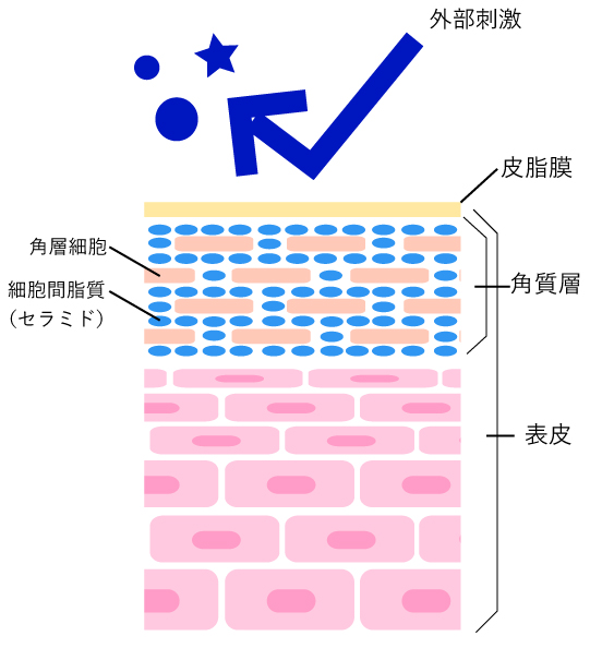 f:id:minolist:20160502212629j:plain:w300 f:id:minolist:20160502212629j:plain:w300