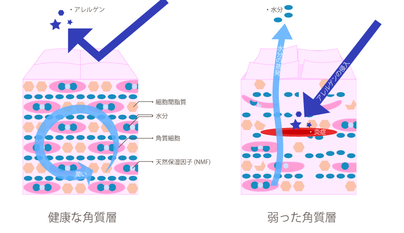 f:id:minolist:20160726222807j:plain f:id:minolist:20160726222807j:plain