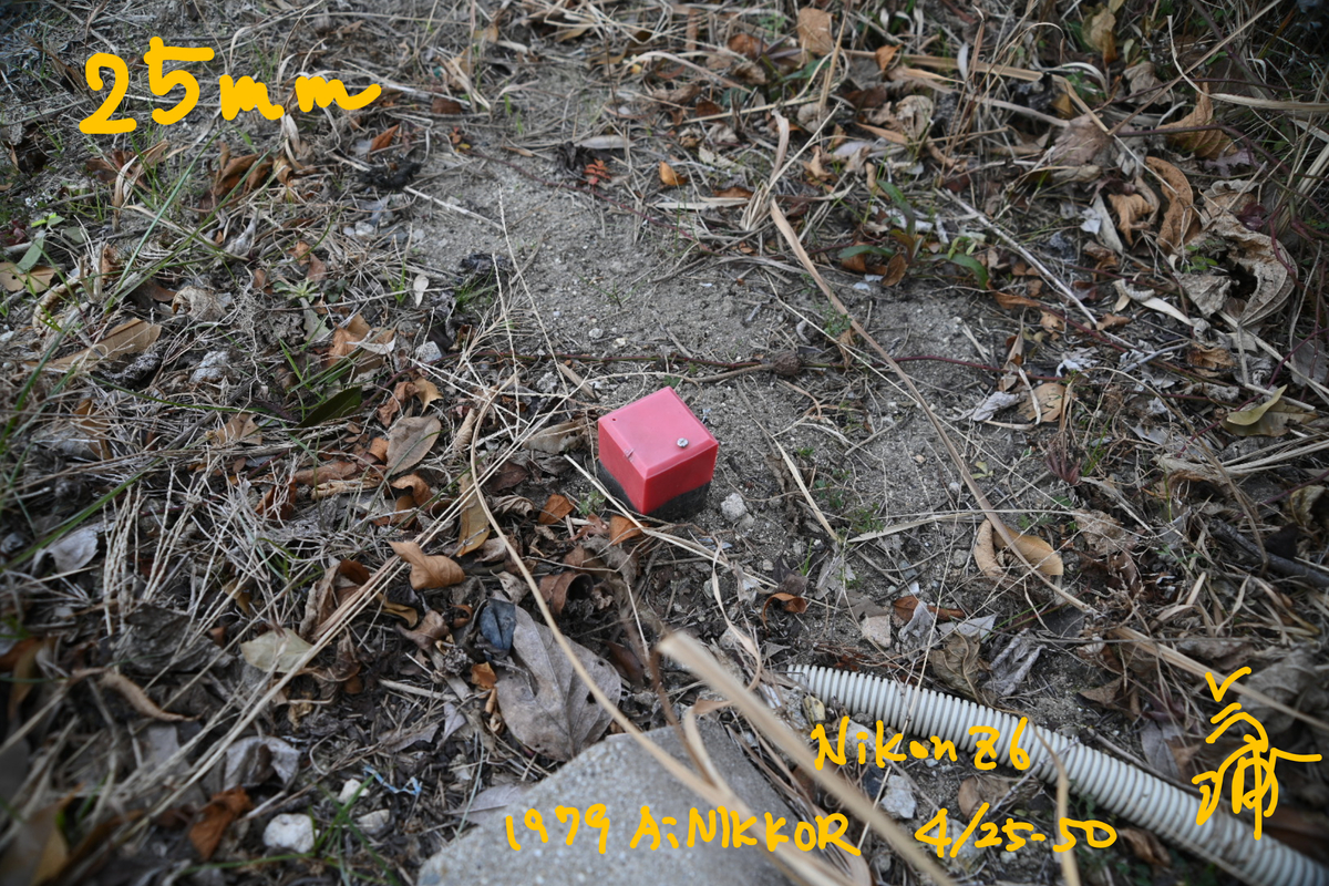 f:id:minoltaROKKOR:20210121193846j:plain