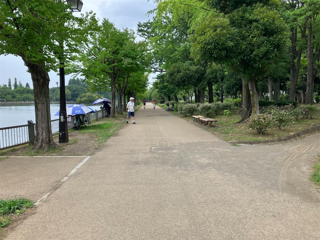 f:id:minomushi0713:20230709105440j:image f:id:minomushi0713:20230709105440j:image