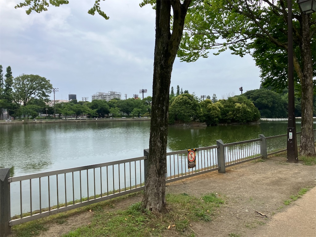 f:id:minomushi0713:20230709105450j:image f:id:minomushi0713:20230709105450j:image