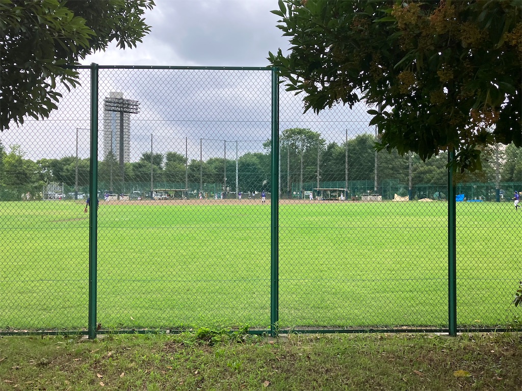 f:id:minomushi0713:20230709105454j:image f:id:minomushi0713:20230709105454j:image