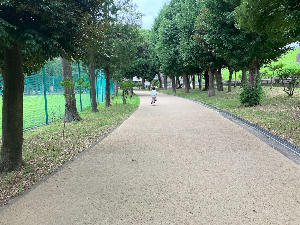 f:id:minomushi0713:20230709105459j:image f:id:minomushi0713:20230709105459j:image