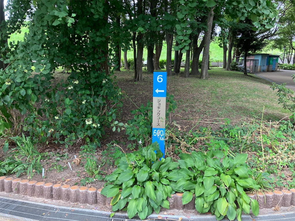 f:id:minomushi0713:20230709105509j:image f:id:minomushi0713:20230709105509j:image