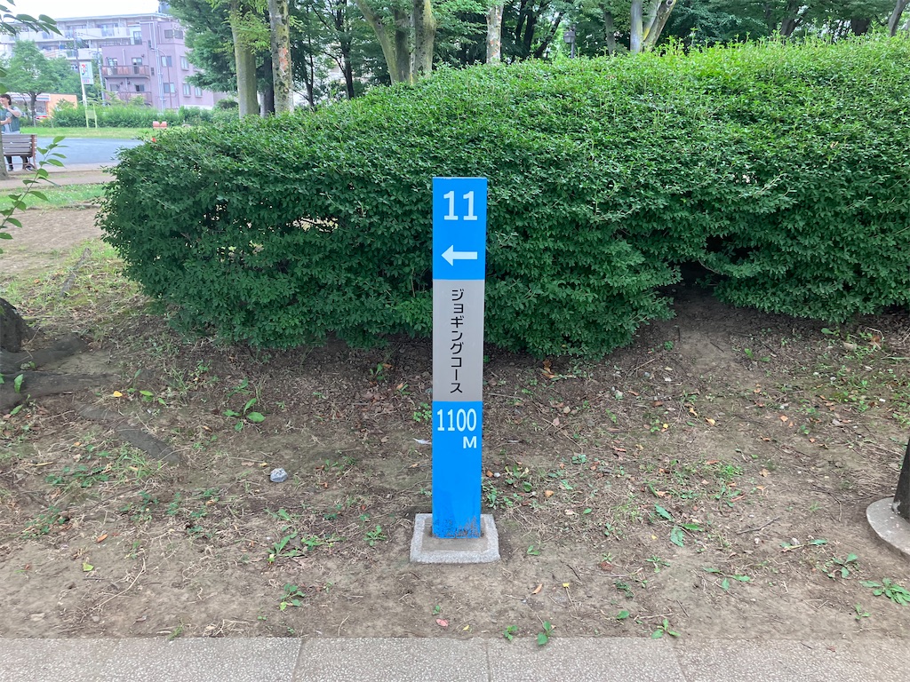 f:id:minomushi0713:20230709105539j:image f:id:minomushi0713:20230709105539j:image