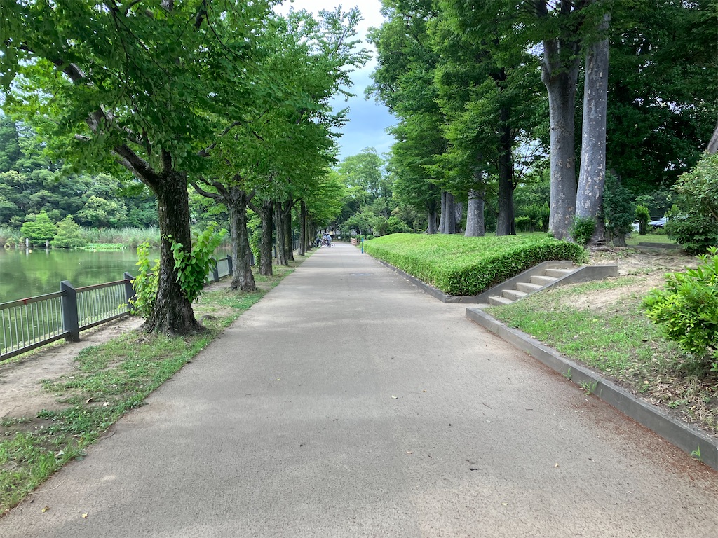 f:id:minomushi0713:20230709105543j:image f:id:minomushi0713:20230709105543j:image