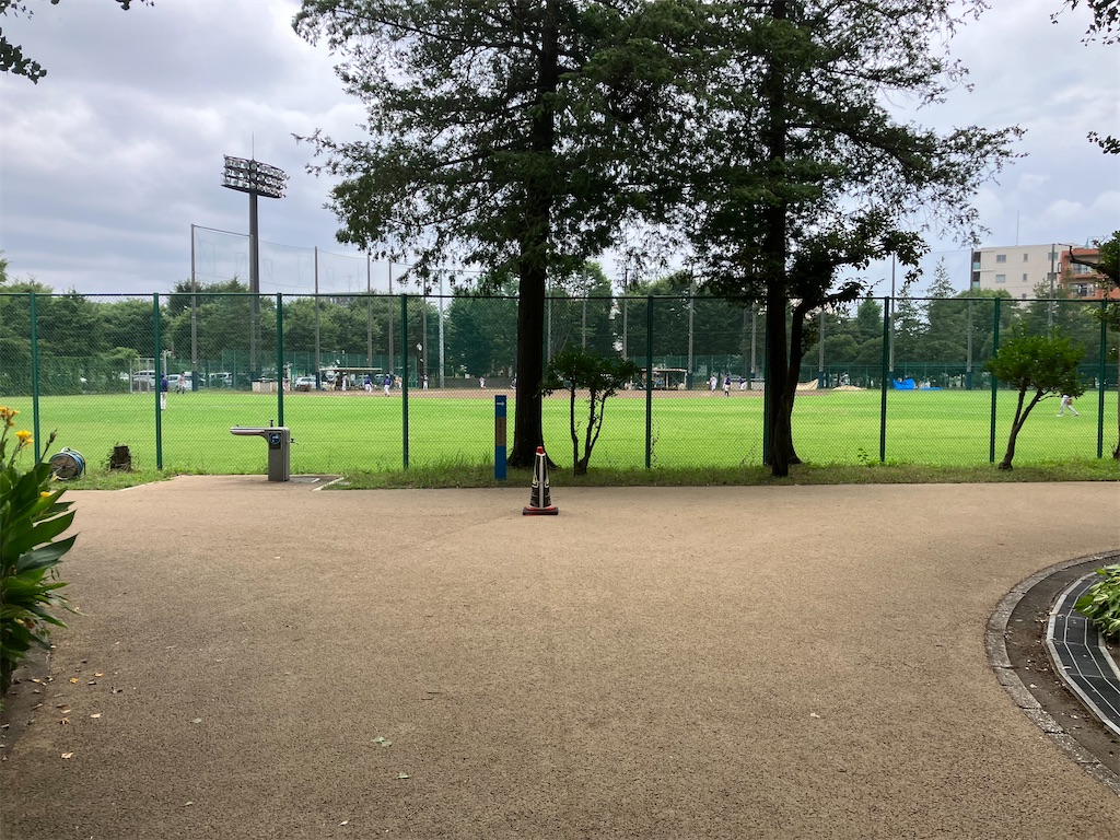 f:id:minomushi0713:20230709105558j:image f:id:minomushi0713:20230709105558j:image