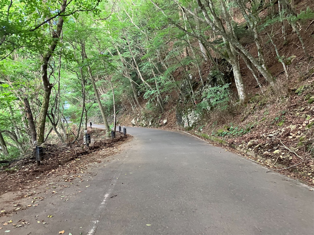 f:id:minomushi0713:20230804154739j:image f:id:minomushi0713:20230804154739j:image