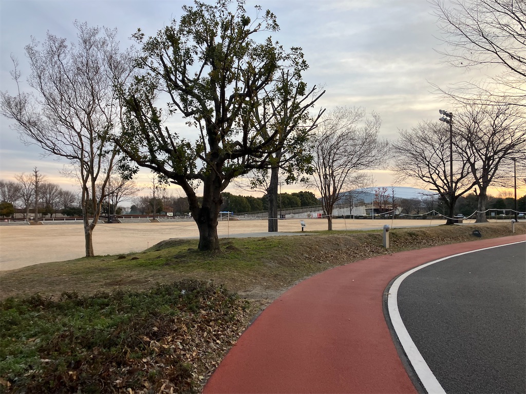 f:id:minomushi0713:20240103100221j:image