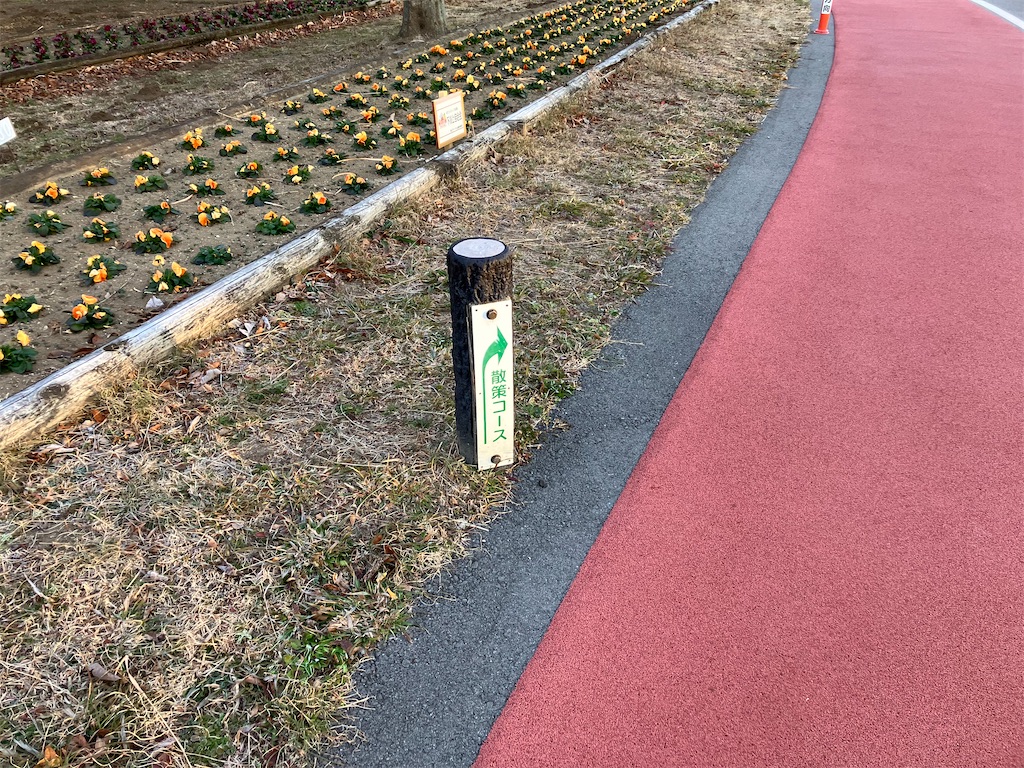f:id:minomushi0713:20240103100231j:image