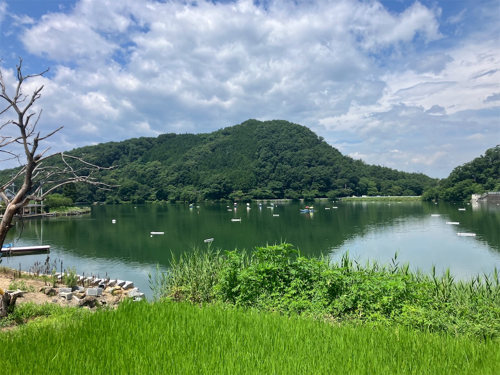 f:id:minomushi0713:20240720142152j:image