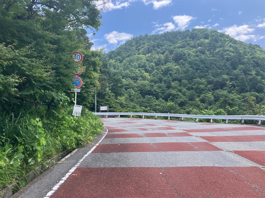 f:id:minomushi0713:20240720142158j:image