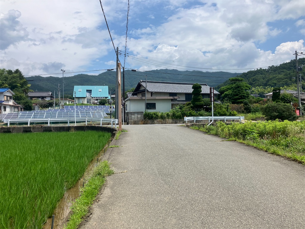f:id:minomushi0713:20240720142207j:image