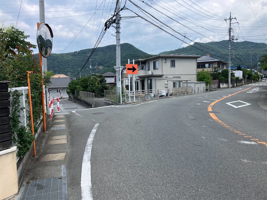 f:id:minomushi0713:20240720142210j:image