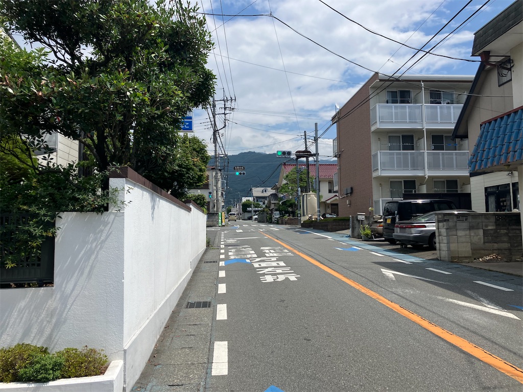 f:id:minomushi0713:20240720142216j:image
