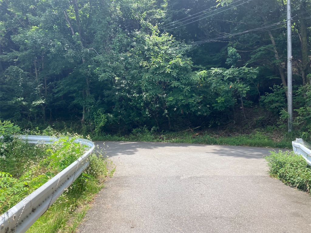 f:id:minomushi0713:20240720142222j:image