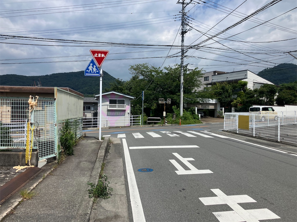 f:id:minomushi0713:20240720142233j:image