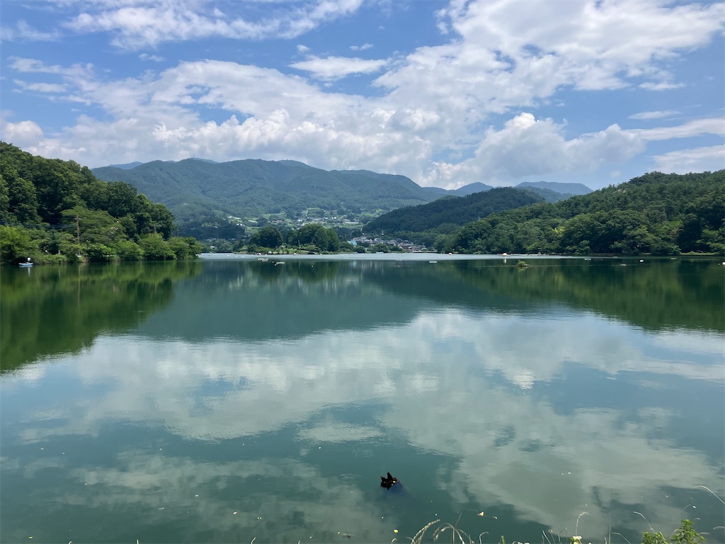 f:id:minomushi0713:20240720142242j:image