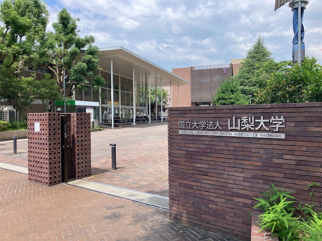 f:id:minomushi0713:20240720142253j:image