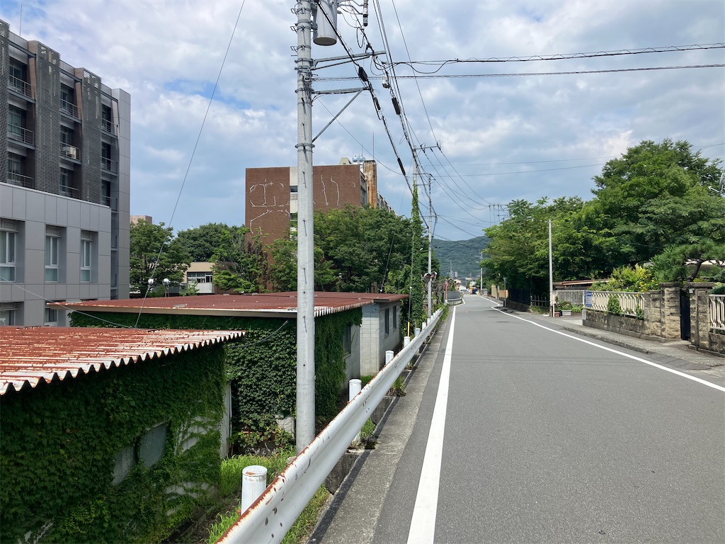 f:id:minomushi0713:20240720142256j:image