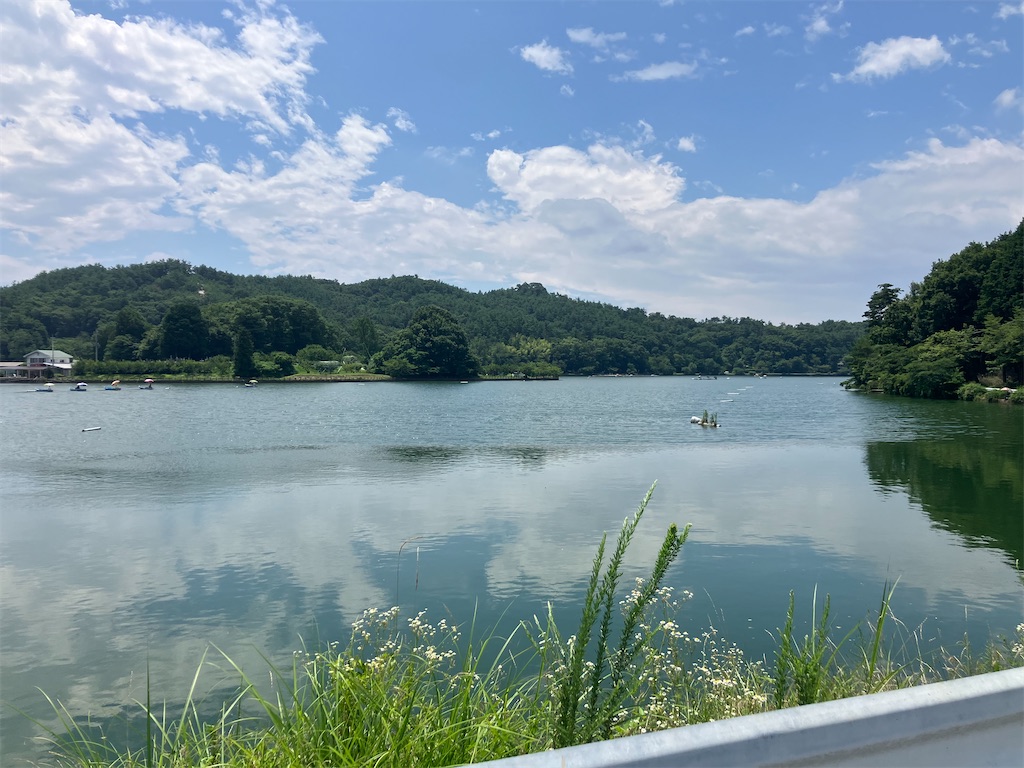 f:id:minomushi0713:20240720142316j:image