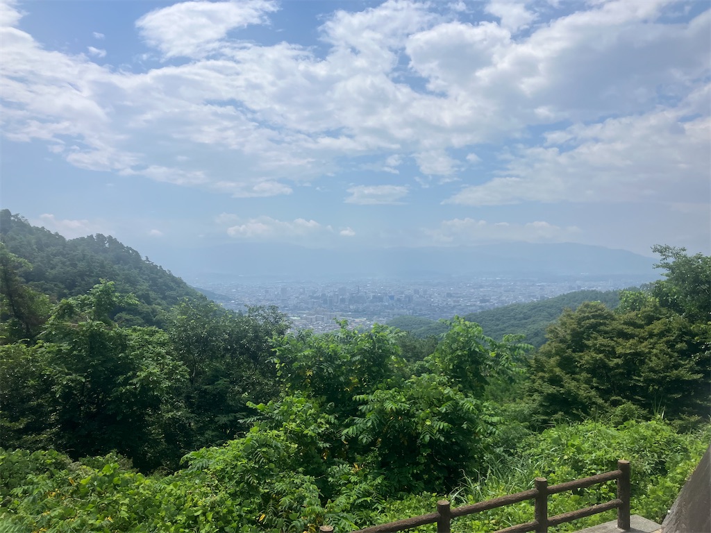 f:id:minomushi0713:20240720142318j:image