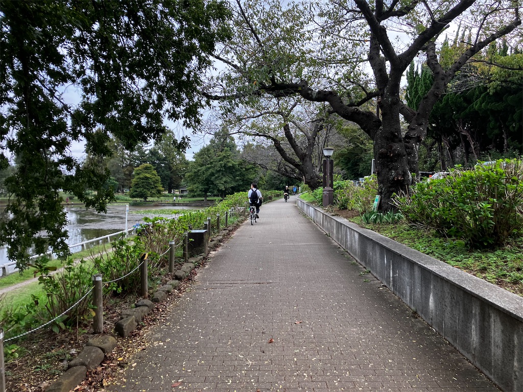 水元公園ランニングコースの魅力 - みのむしランニングクラブ