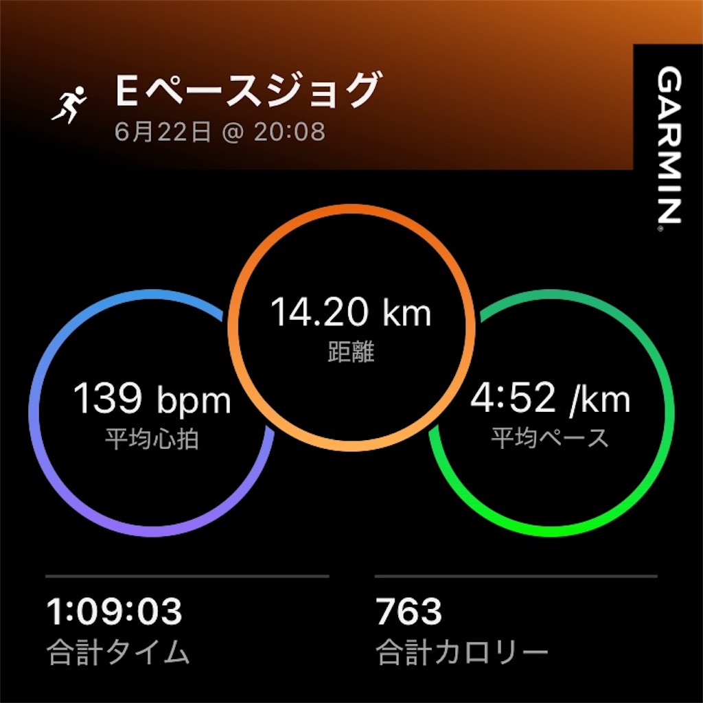 f:id:minomushi0713:20260623074014j:image