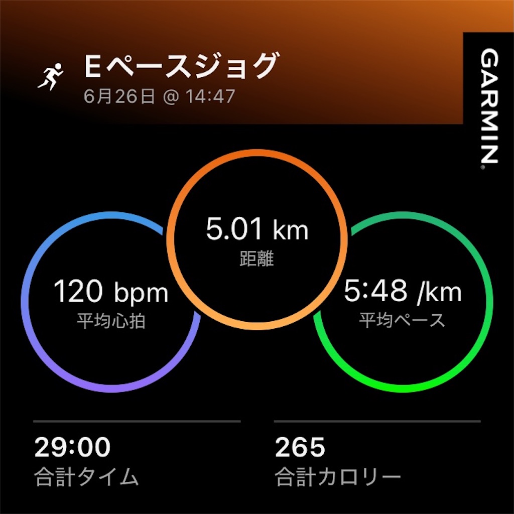 f:id:minomushi0713:20260626163051j:image