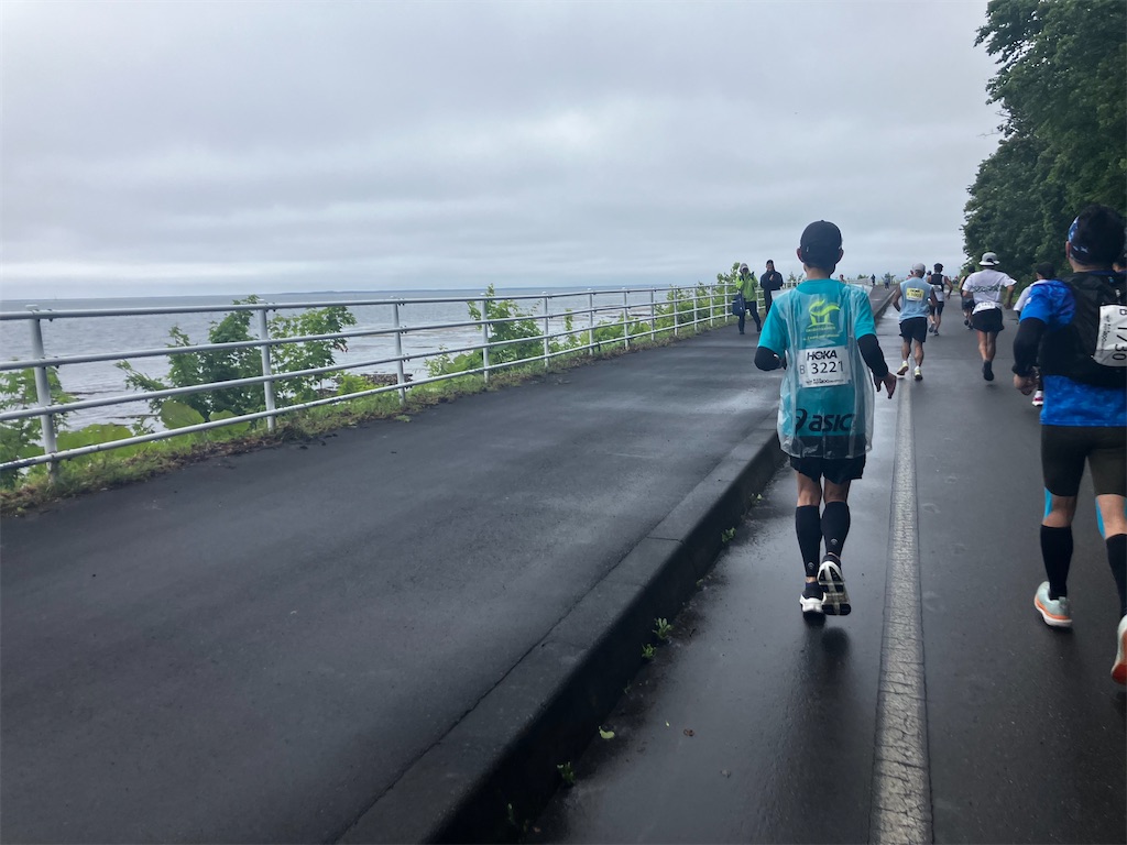 f:id:minomushi0713:20260629041730j:image