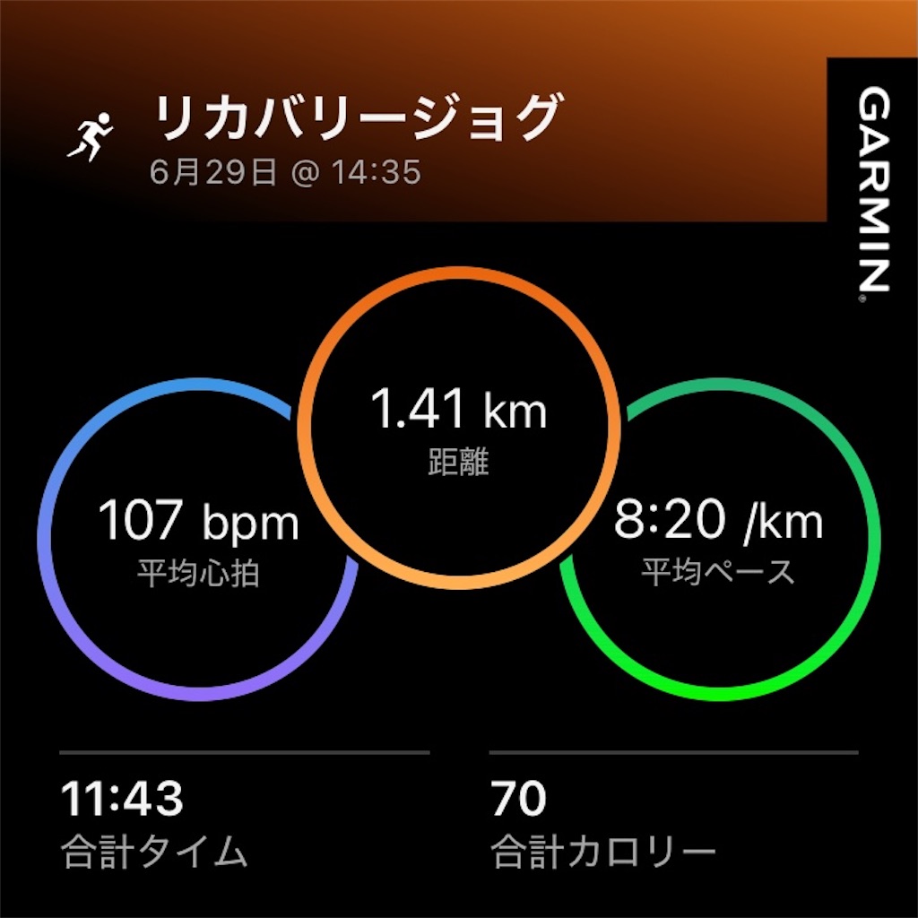 f:id:minomushi0713:20260630025447j:image